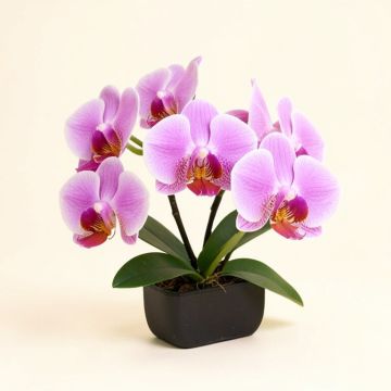 Phalaenopsis Silk Orchid Floral Arrangements And Centerpieces (synthetic illustration; no displayed measurements)