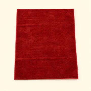 Leonora Textured Power Loom Red Rug (synthetic illustration; no displayed measurements)
