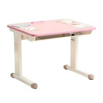 Bobbi Kids Study Desk