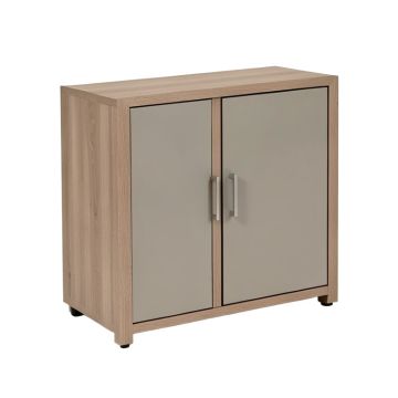 Bushland Storage Unit 2 Door Accent Cabinet