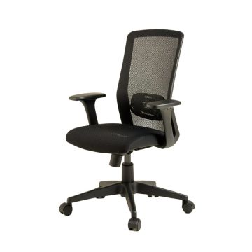 Ergonomic Mesh Task Chair
