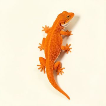 Little Neck Gecko Wall Décor (synthetic illustration; no displayed measurements)