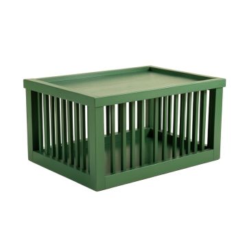 Holly Brook Empty Furniture-Style Pet Crate - Green