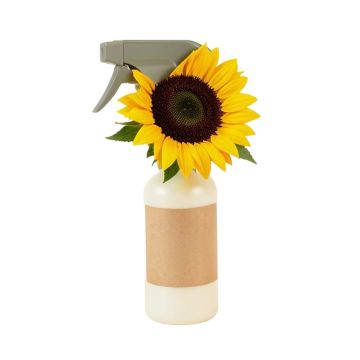 Head Sunflower Spray