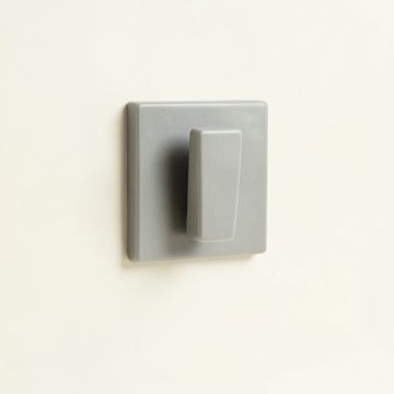 Dawn Branch Wall-Mounted Robe Hook - Gray (synthetic illustration; no displayed measurements)
