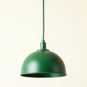 Fern Bridge Pendant Light Suspended From One Plain Cable - Green (synthetic illustration; no displayed measurements)