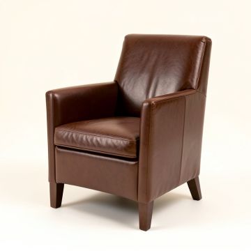 Riner Leather Upholstered Dining Chair (synthetic illustration; no displayed measurements)