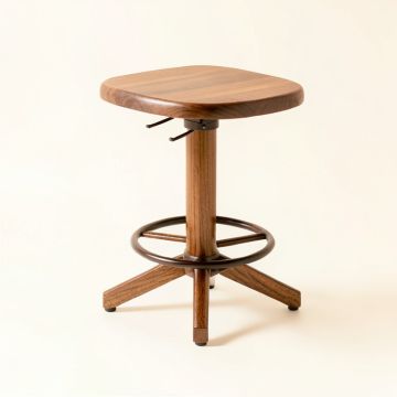 Badillo Swivel Solid Wood Bar & Counter Stool (synthetic illustration; no displayed measurements)