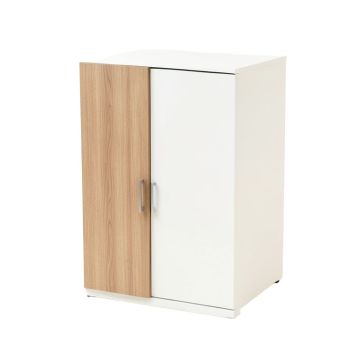 Saravia Office Storage Cabinet