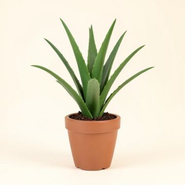 Floor Aloe Plant In Planter (synthetic illustration; no displayed measurements)