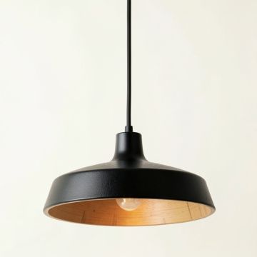 Cedar Dell Pendant Light Suspended From One Plain Cable - Black (synthetic illustration; no displayed measurements)