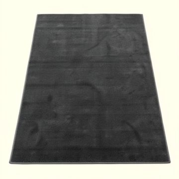 Kronborg Shag Dark Gray Area Rug (synthetic illustration; no displayed measurements)
