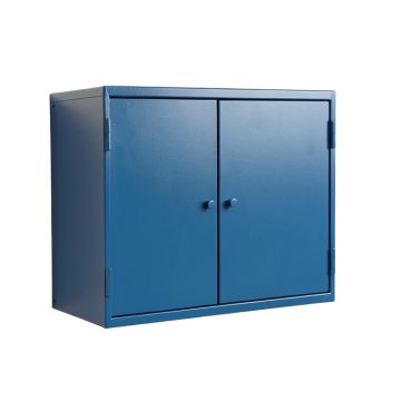 Linden Canyon Wall-Mounted Entry Cabinet - Blue