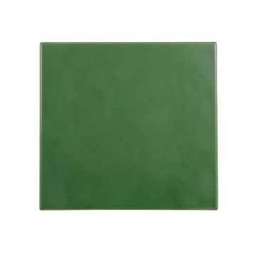 Juniper Brook Uninstalled Square Decorative Tile - Green