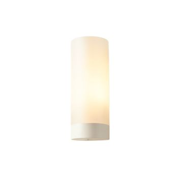 Darius 1-Light Wall Sconce