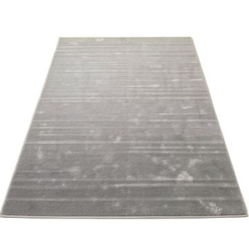 Altamont Silver Gray Area Rug