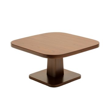 Figurine Coffee Table