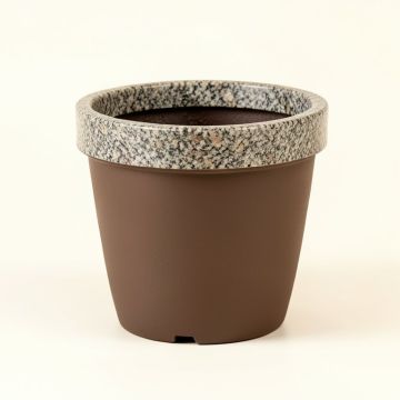 Trio Self-Watering Plastic Pot Planter (synthetic illustration; no displayed measurements)