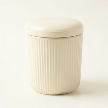 Reed Dale Storage Canister With Lid - Cream (synthetic illustration; no displayed measurements)