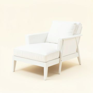 Ali Chaise Lounge (synthetic illustration; no displayed measurements)