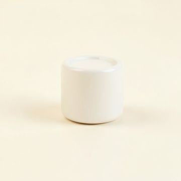 Cliff Brook Cabinet Knob Without Packaging - White (synthetic illustration; no displayed measurements)