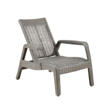 Willow Branch Outdoor Lounge Chair - Gray