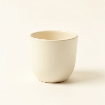 Reed Canyon Empty Candle Holder - Ivory (synthetic illustration; no displayed measurements)