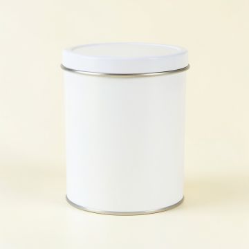 Pine Dale Storage Canister With Lid - White (synthetic illustration; no displayed measurements)