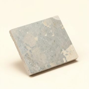 Penny 0.8 '' X 0.8 '' Porcelain Mosaic Tile (synthetic illustration; no displayed measurements)