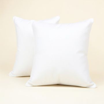 Set Of 2 Luxury Cushion Indoor/Outdoor Pillow Insert (synthetic illustration; no displayed measurements)