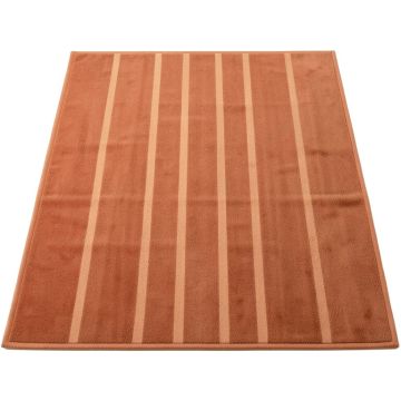 Briar Bluff Rectangular Outdoor Rug - Terracotta