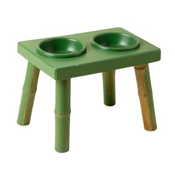 Dawn Brook Pet Feeding Stand With Two Plain Empty Bowls - Green