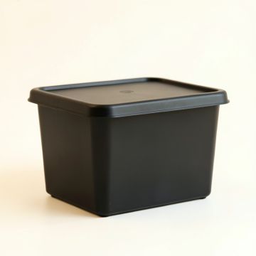 Birch Brook Closed Outdoor Storage Box - Black (synthetic illustration; no displayed measurements)