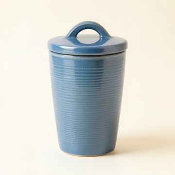 Olive Brook Storage Canister With Lid - Blue (synthetic illustration; no displayed measurements)