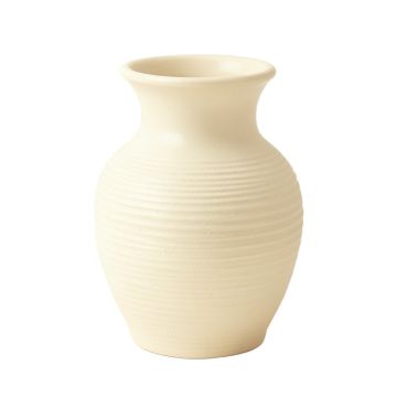 Willow Bend Empty Decorative Vase - Cream