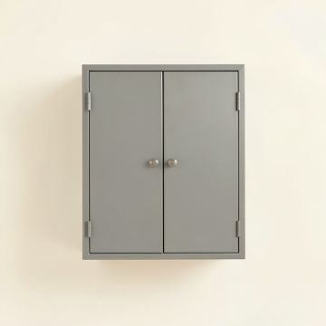 Clay Dale Wall-Mounted Entry Cabinet - Gray (synthetic illustration; no displayed measurements)