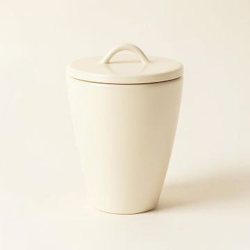Wren Canyon Storage Canister With Lid - Ivory (synthetic illustration; no displayed measurements)