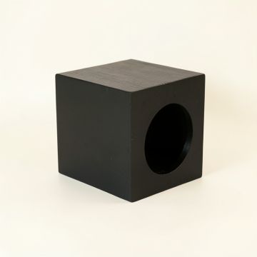 Birch Edge Wall-Mounted Cat Perch - Black (synthetic illustration; no displayed measurements)