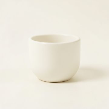 Slate Branch Empty Candle Holder - White (synthetic illustration; no displayed measurements)
