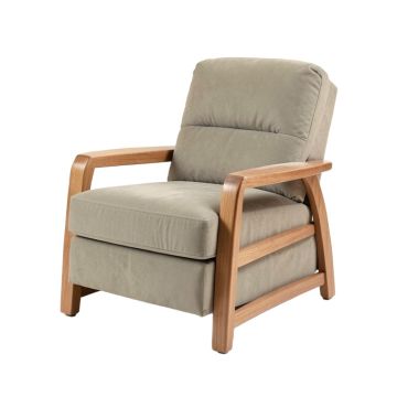Lofton 46 '' Wide Power Lift Assist Standard Recliner