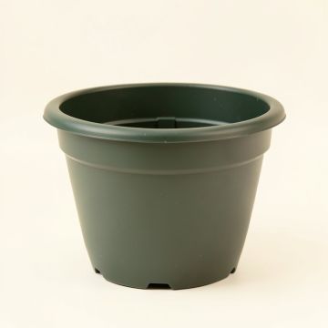 Reider Self-Watering Plastic Hanging Planter (synthetic illustration; no displayed measurements)