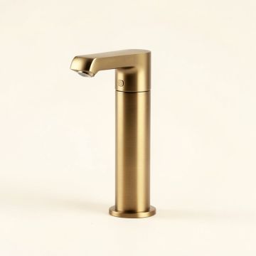 Ileana Single Hole Bathroom Faucet (synthetic illustration; no displayed measurements)