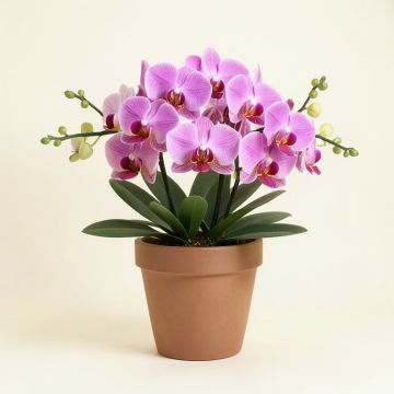 Orchids Floral Arrangements And Centerpieces In Pot (synthetic illustration; no displayed measurements)