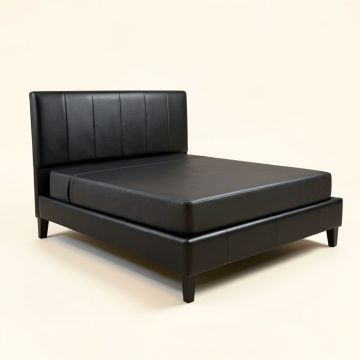 Jarvous Queen Upholstered Low Profile Upholstered Standard Bed (synthetic illustration; no displayed measurements)