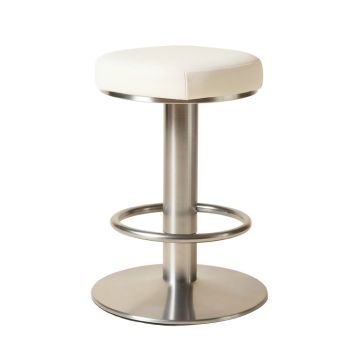 Fetherolf Swivel Adjustable Height