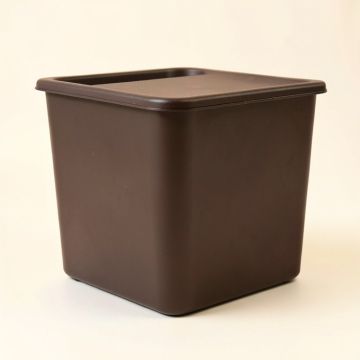 Lisette 37 Gallon Resin Deck Box (synthetic illustration; no displayed measurements)