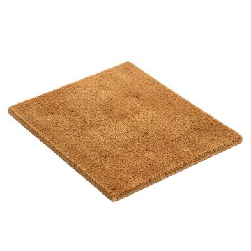 Raffertie Pretty Non-Slip Outdoor Door Mat