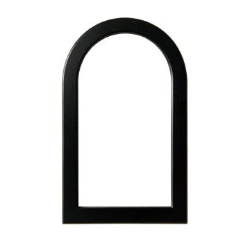 Shore Branch Framed Wall Mirror - Black