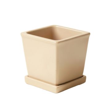 Dune Branch Empty Planter - Beige