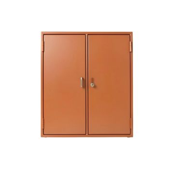 Aspen Canyon Wall-Mounted Entry Cabinet - Terracotta (synthetic illustration; no displayed measurements)